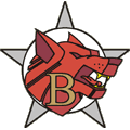 The Wolf Clan standard is painted prominently on every military vehicle.Beta Galaxy's insignia has a snarling red-and-brown wolf's head set over a silver